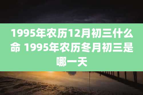 1995年农历12月初三什么命 1995年农历冬月初三是哪一天