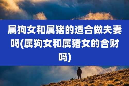 属狗女和属猪的适合做夫妻吗(属狗女和属猪女的合财吗)