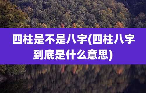 四柱是不是八字(四柱八字到底是什么意思)