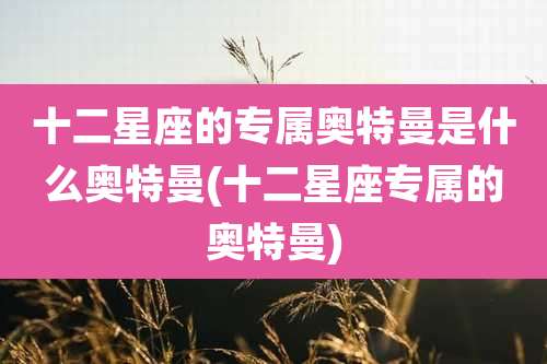 十二星座的专属奥特曼是什么奥特曼(十二星座专属的奥特曼)