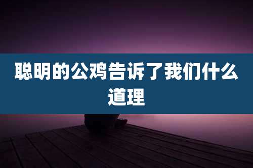 聪明的公鸡告诉了我们什么道理