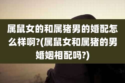 属鼠女的和属猪男的婚配怎么样啊?(属鼠女和属猪的男婚姻相配吗?)