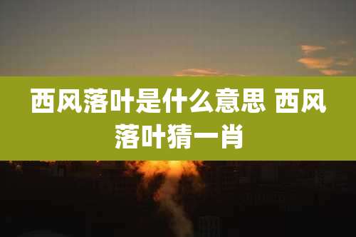 西风落叶是什么意思 西风落叶猜一肖