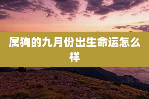 属狗的九月份出生命运怎么样