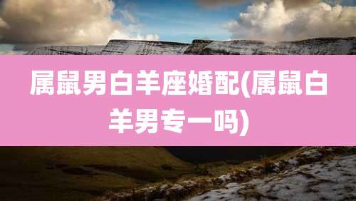 属鼠男白羊座婚配(属鼠白羊男专一吗)