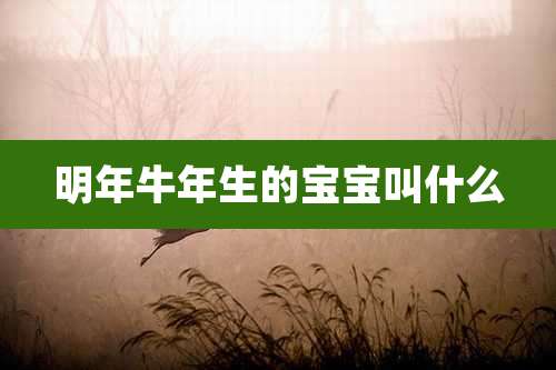 明年牛年生的宝宝叫什么