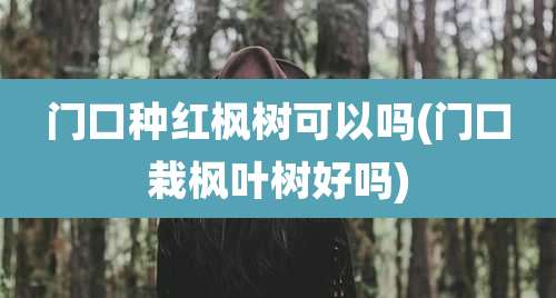 门口种红枫树可以吗(门口栽枫叶树好吗)
