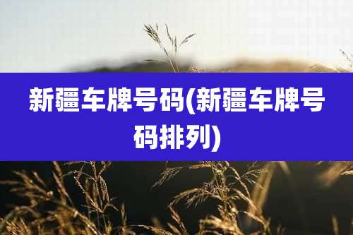 新疆车牌号码(新疆车牌号码排列)