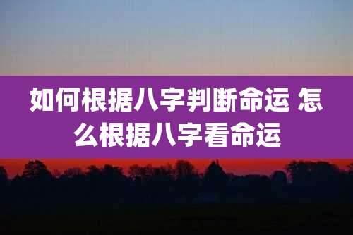 如何根据八字判断命运 怎么根据八字看命运