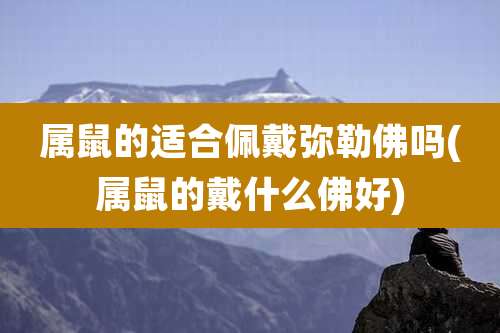 属鼠的适合佩戴弥勒佛吗(属鼠的戴什么佛好)