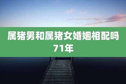 属猪男和属猪女婚姻相配吗71年