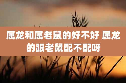 属龙和属老鼠的好不好 属龙的跟老鼠配不配呀