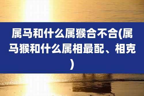 属马和什么属猴合不合(属马猴和什么属相最配、相克)