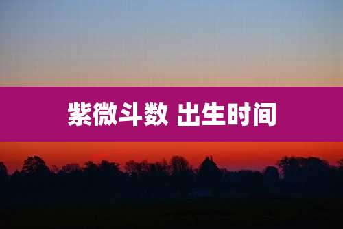 紫微斗数 出生时间