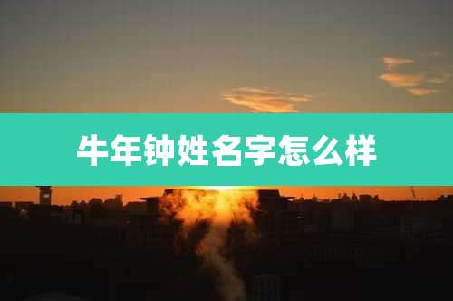 牛年钟姓名字怎么样