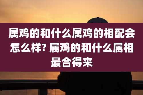 属鸡的和什么属鸡的相配会怎么样? 属鸡的和什么属相最合得来