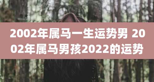 2002年属马一生运势男 2002年属马男孩2022的运势