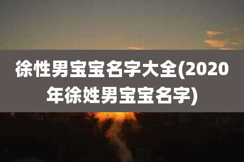 徐性男宝宝名字大全(2020年徐姓男宝宝名字)