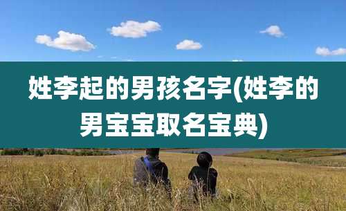 姓李起的男孩名字(姓李的男宝宝取名宝典)