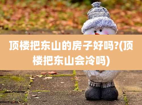 顶楼把东山的房子好吗?(顶楼把东山会冷吗)