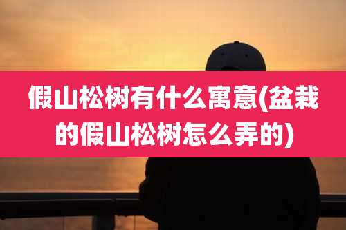 假山松树有什么寓意(盆栽的假山松树怎么弄的)