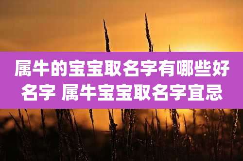 属牛的宝宝取名字有哪些好名字 属牛宝宝取名字宜忌