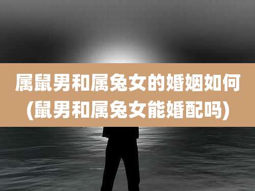 属鼠男和属兔女的婚姻如何(鼠男和属兔女能婚配吗)