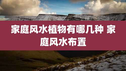 家庭风水植物有哪几种 家庭风水布置