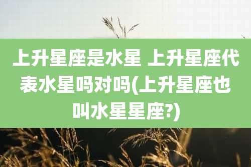 上升星座是水星 上升星座代表水星吗对吗(上升星座也叫水星星座?)