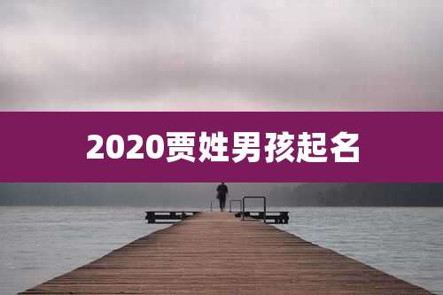 2020贾姓男孩起名