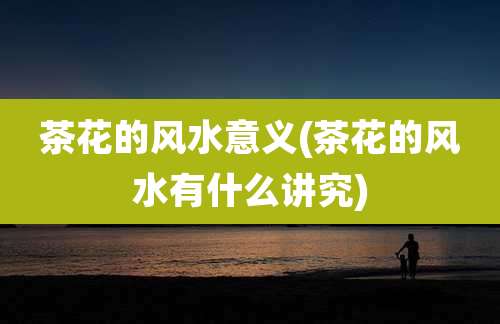 茶花的风水意义(茶花的风水有什么讲究)