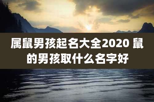 属鼠男孩起名大全2020 鼠的男孩取什么名字好