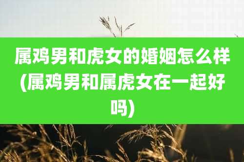 属鸡男和虎女的婚姻怎么样(属鸡男和属虎女在一起好吗)