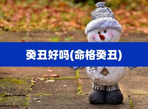 癸丑好吗(命格癸丑)