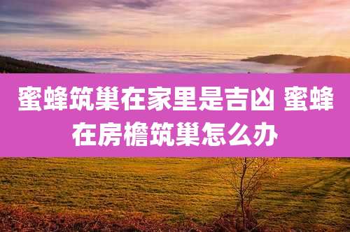 蜜蜂筑巢在家里是吉凶 蜜蜂在房檐筑巢怎么办