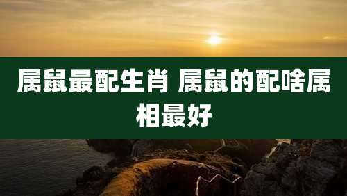 属鼠最配生肖 属鼠的配啥属相最好