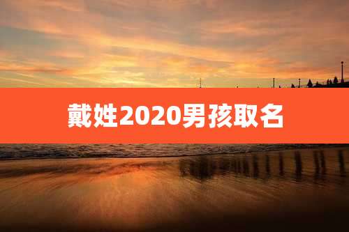 戴姓2020男孩取名