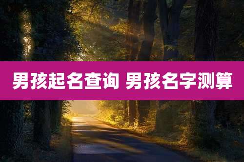 男孩起名查询 男孩名字测算