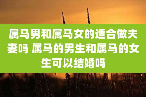 属马男和属马女的适合做夫妻吗 属马的男生和属马的女生可以结婚吗