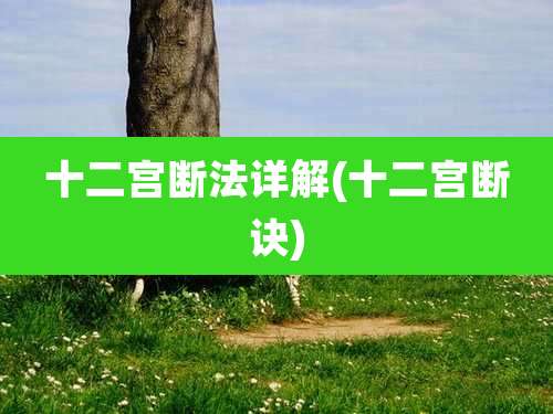 十二宫断法详解(十二宫断诀)