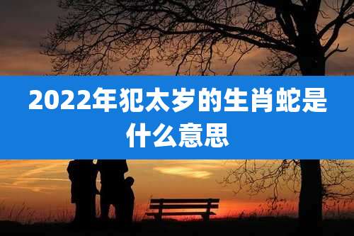 2022年犯太岁的生肖蛇是什么意思