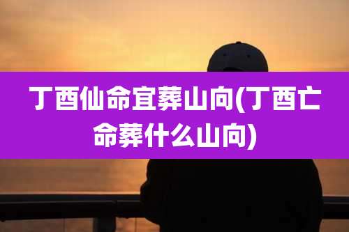 丁酉仙命宜葬山向(丁酉亡命葬什么山向)