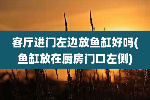 客厅进门左边放鱼缸好吗(鱼缸放在厨房门口左侧)