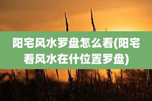 阳宅风水罗盘怎么看(阳宅看风水在什位置罗盘)