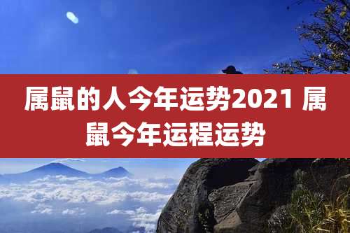 属鼠的人今年运势2021 属鼠今年运程运势