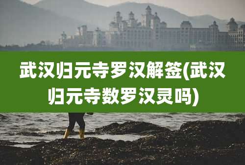 武汉归元寺罗汉解签(武汉归元寺数罗汉灵吗)