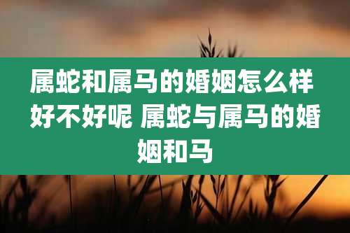 属蛇和属马的婚姻怎么样 好不好呢 属蛇与属马的婚姻和马