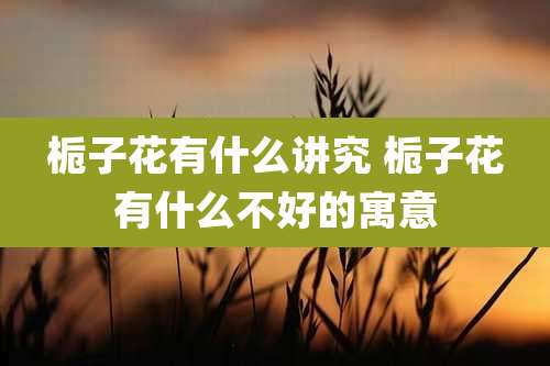 栀子花有什么讲究 栀子花有什么不好的寓意