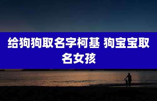 给狗狗取名字柯基 狗宝宝取名女孩