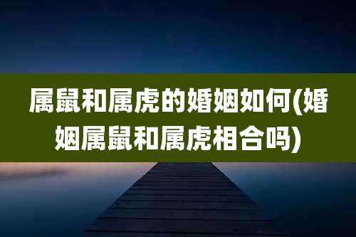 属鼠和属虎的婚姻如何(婚姻属鼠和属虎相合吗)